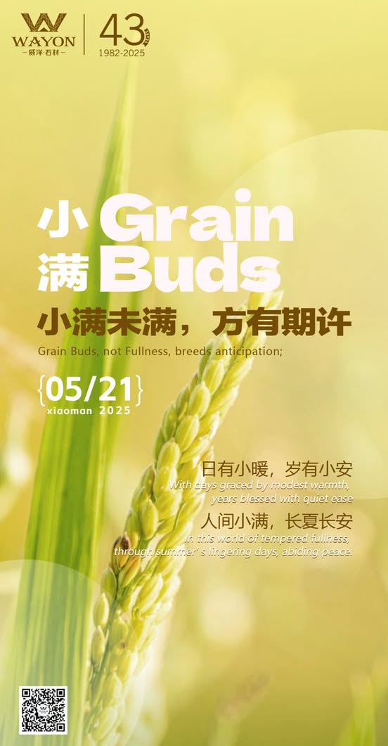 Wayon Stone Today is Grain Buds. Wheat grains fill the ears, and all things gradually thrive. 