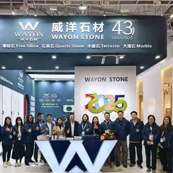 WAYON ADVANTAGE 06 345X345